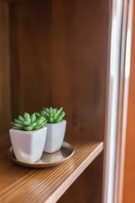 two bowls of green plants sitting on a shelf at Bed and Breakfast Mili Vrh in Kamnik