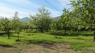 a field of trees with mountains in the background at Apartments Masera in Kobarid
