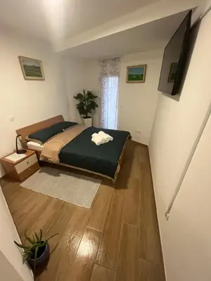 a bedroom with a bed and a television in it at Rooms Balkovec in Dragatuš