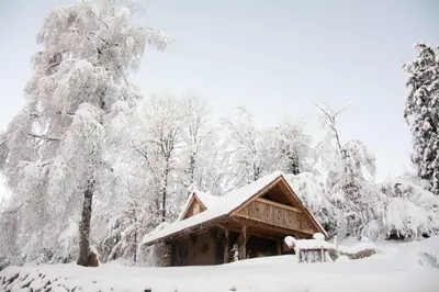 a cabin in the snow with snow covered trees at Apartma kašča in Domžale