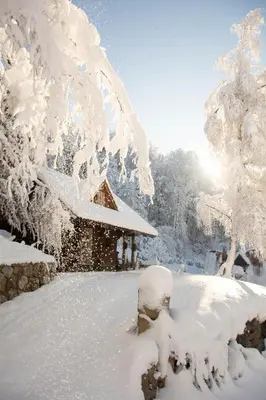 a snow covered tree with a house in the background at Apartma kašča in Domžale
