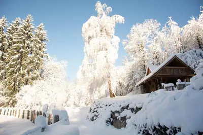 a house covered in snow next to a forest at Apartma kašča in Domžale