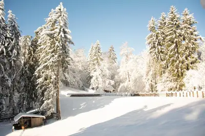 a snow covered field with trees and a fence at Apartma kašča in Domžale