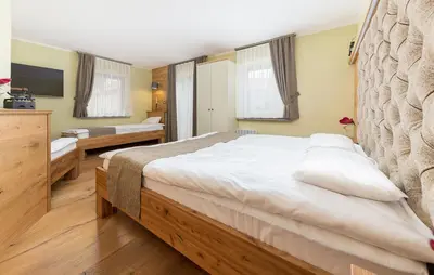 a bedroom with a large bed and a tv at Apartma Rozika in Ptuj