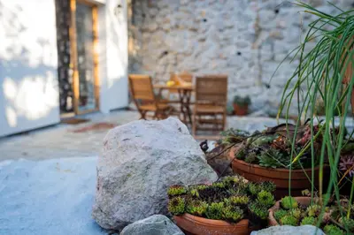 a couple of potted plants sitting next to a rock at Bled House Of Green in Bled