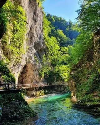 a bridge over a river in a canyon at Mountain Vista Apartment in Bled