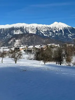 a snow covered mountain with houses and trees in the foreground at Mountain Vista Apartment in Bled