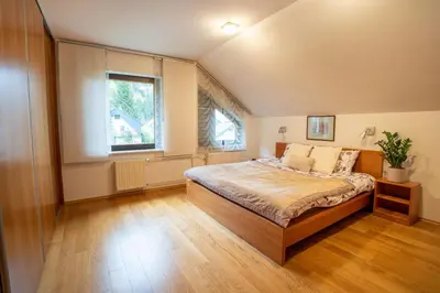 a bedroom with a bed and a window at JM Alpine Apartments in Kranjska Gora