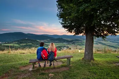 a man and woman sitting on a bench under a tree at Apartma Alda in Preserje