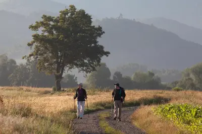 two people walking down a dirt road with sticks at Apartma Alda in Preserje