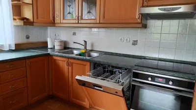 a kitchen with a sink and a dishwasher at Apartma Alda in Preserje