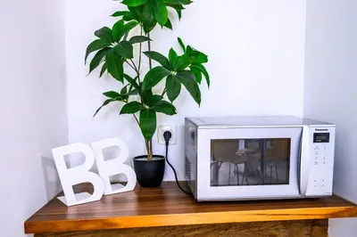 a white microwave sitting on a wooden shelf with a plant at The City Loft in Ljubljana