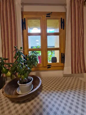 a potted plant sitting on a table in front of a window at Apartments Pajek & Pajčevina on the Hayrack in Dobje pri Lesičnem