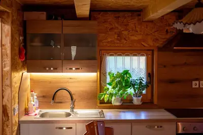 a kitchen with a sink and a window with a plant at Apartments Pajek & Pajčevina on the Hayrack in Dobje pri Lesičnem