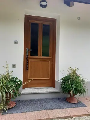 a wooden door on a building with two potted plants at Apartments Pajek & Pajčevina on the Hayrack in Dobje pri Lesičnem