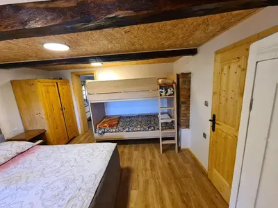 a bedroom with a bunk bed and a ladder at Apartments Pajek & Pajčevina on the Hayrack in Dobje pri Lesičnem