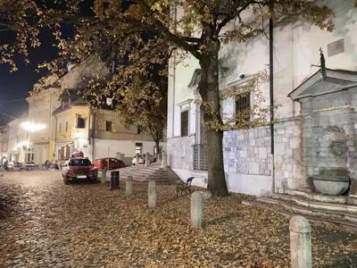 a car parked next to a building with a tree at Villa pod Gradom in Ljubljana