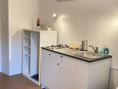 a white kitchen with a sink and a stove at Villa pod Gradom in Ljubljana