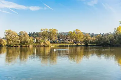 a view of a lake with trees in the background at Vila Valentina in Ljubljana