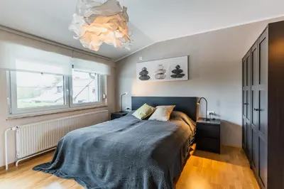 a bedroom with a bed and a chandelier at Vila Valentina in Ljubljana