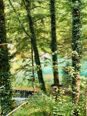 a painting of a waterfall in a forest with trees at Vacation Station Kamnik in Kamnik