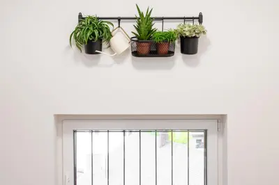 a window with plants in pots on top of it at Apartments Naklo in Naklo