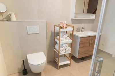 a bathroom with a toilet and a shelf with towels at Apartments Naklo in Naklo