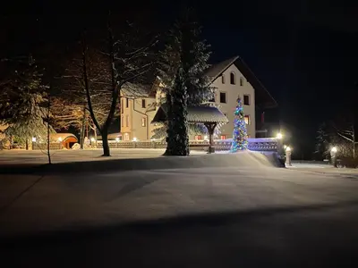 a christmas tree in front of a house at night at Apartment & Studio Forest Paradise in Cerkno
