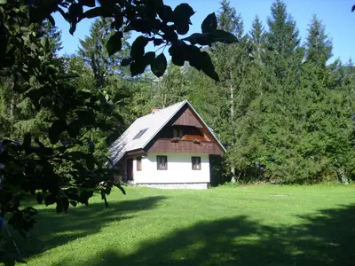 a small white house in a field with trees at Apartment Lake Bohinj no. 5 in Bohinj
