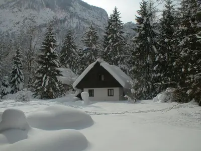 a small house covered in snow in a forest at Apartment Lake Bohinj no. 5 in Bohinj