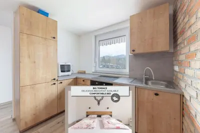 a small kitchen with a stove and a sink at Apartma Naravni biser in Brezje