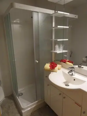 a bathroom with a shower and a sink at Apartment Katrca Kranjska Gora in Kranjska Gora