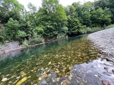 a river with rocks in the water and trees at Riverside Villa Avo - Apartment Martin in Spodnja Idrija
