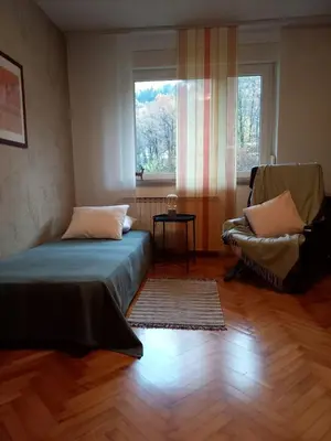 a bedroom with a bed and a chair and a window at Riverside Villa Avo - Apartment Martin in Spodnja Idrija