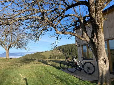 a bike parked next to a house next to a tree at Tiny house in Mislinja