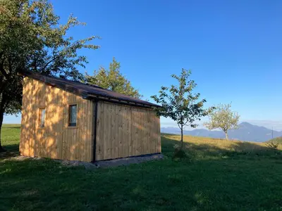 a small wooden building in a field with trees at Tiny house in Mislinja