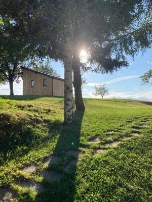 a tree in a field with a building in the background at Tiny house in Mislinja