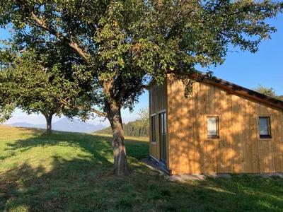 a small shed with a tree in a field at Tiny house in Mislinja