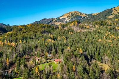 a house on the side of a mountain with trees at Apartments Farm House Uric in Jesenice