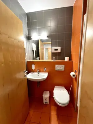 a small bathroom with a toilet and a sink at Hotel Jeruzalem in Ljutomer