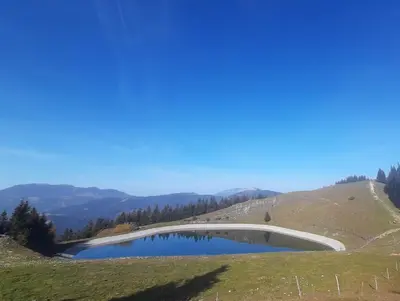 a pond on top of a hill in a field at Golte Apartment Tibona in Mozirje