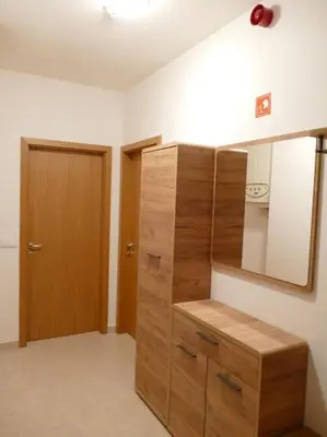 a room with a wooden dresser and a mirror at Forest Green Pohorje Apartment in Pohorje
