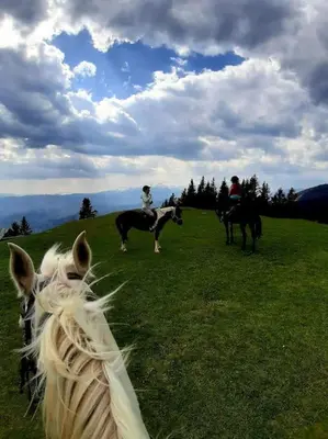 a group of people riding horses on a hill at Apartma Juli in Žirovnica