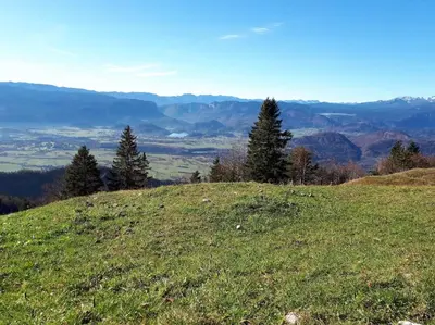 a grassy hill with a view of a valley at Apartma Juli in Žirovnica
