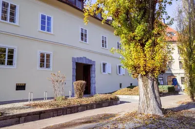 a tree in front of a white building at Central Living Vegova-with parking in Ljubljana