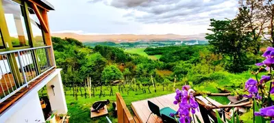 a room with a view of a green field with purple flowers at Studio in Novo mesto - dostava - Kranjska Krain 26035 in Mačkovec pod Trško Goro