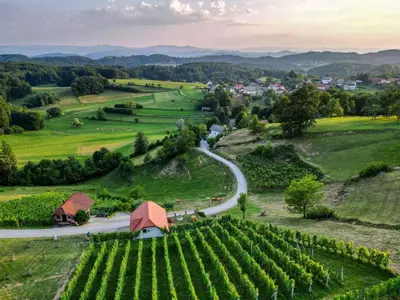 an aerial view of a vineyard with a road and a village at Holiday home in Trebelno - Dolenjska & Bela krajina Unter- & Weißkrain 26032 in Trebelno