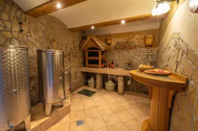a large kitchen with a stone walled room with a sink and a counter at Holiday home in Trebelno - Dolenjska & Bela krajina Unter- & Weißkrain 26032 in Trebelno