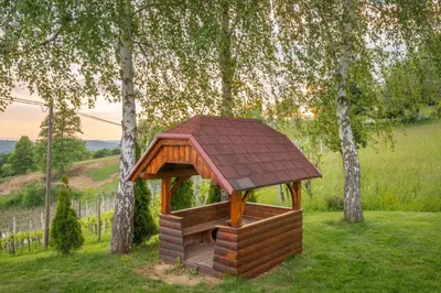 a small wooden shelter in a field with trees at Holiday home in Trebelno - Dolenjska & Bela krajina Unter- & Weißkrain 26032 in Trebelno