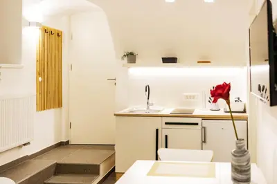 a kitchen with white cabinets and a red flower in a vase at Vila Jakopič apartments in Ljubljana